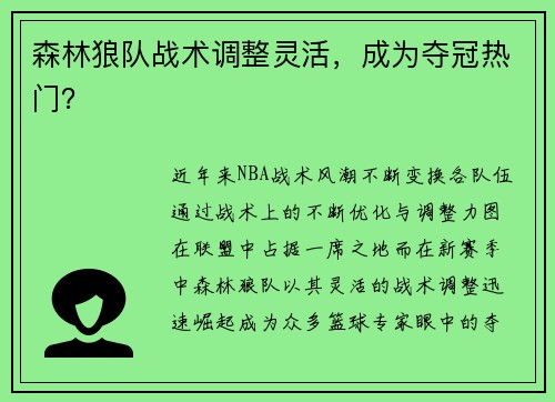 森林狼队战术调整灵活，成为夺冠热门？